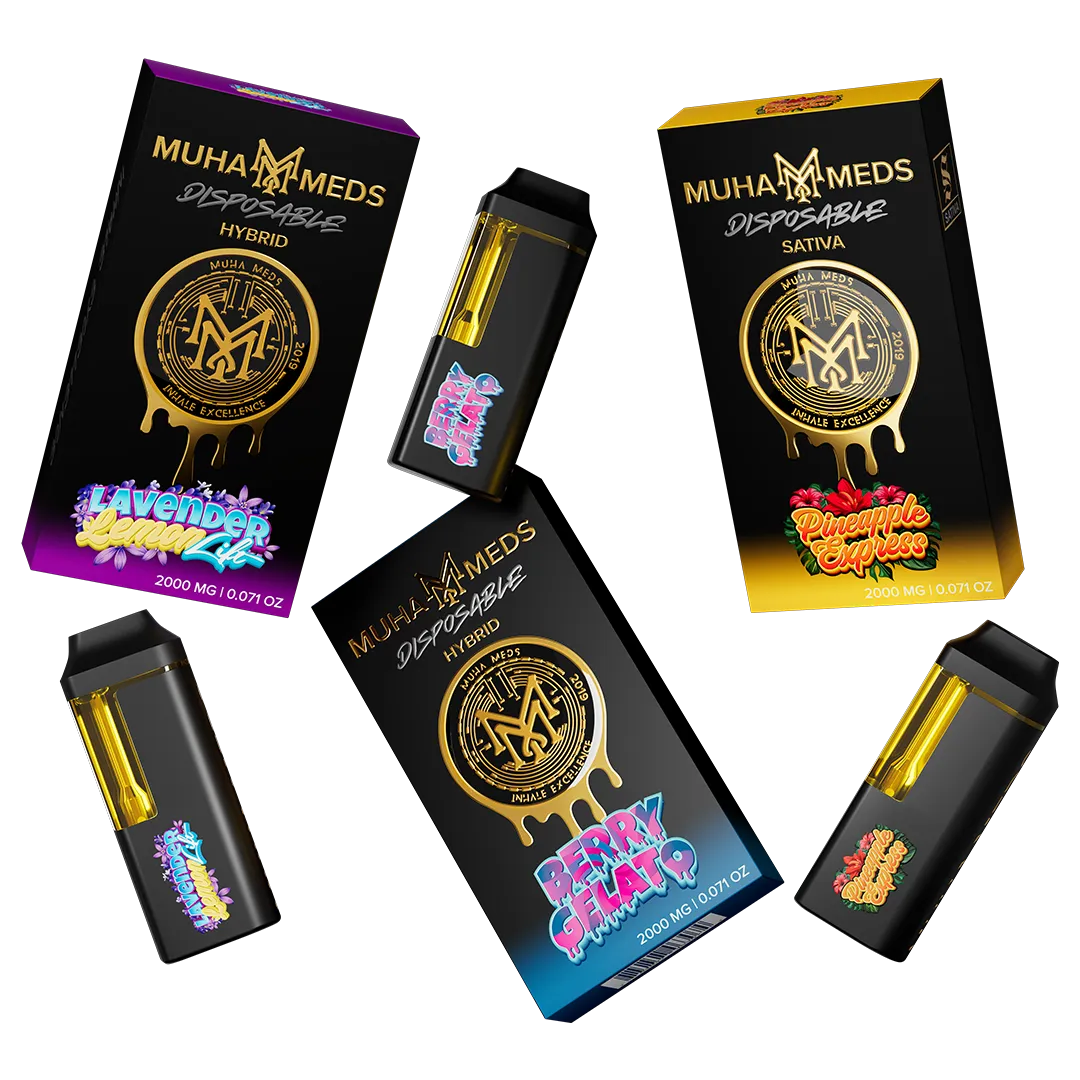 newMuha Meds Disposable 2 Gram Price Guide 2025: Complete Cost Analysis & Buying Guidec db a b ab d e mm disposable g groupshot