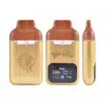 empty Gold Big Chief Dual The HIT 2g Disposables Vapebig chief duo g all in one