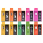 Blinkers 2g Disposable Vapeblinkers g disposable