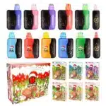 empty disposable vape pen​Empty Packman Christmas Edition Disposable Vape 2Gpackman christmas edition disposable vape g
